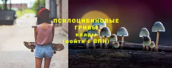 PSILOCYBIN Володарск