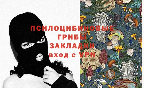 PSILOCYBIN Володарск
